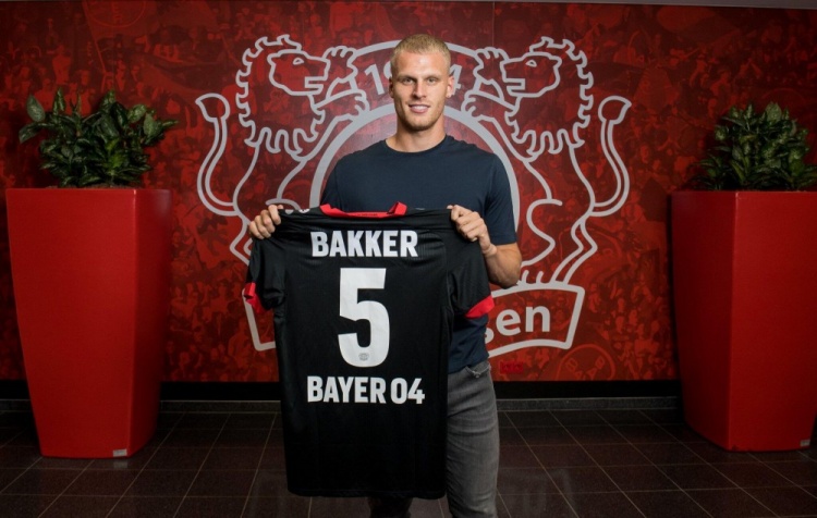 与团队环境 与团队环境