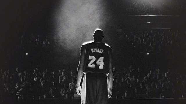 恰好印证了 恰好印证了